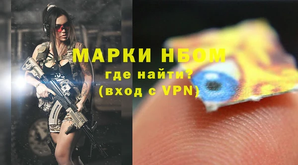 стафф Зерноград