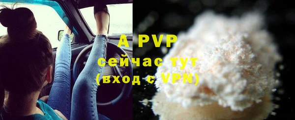 стафф Зерноград