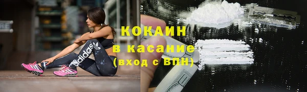 стафф Зерноград