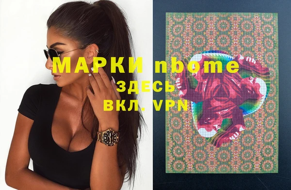 стафф Зерноград