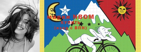 стафф Зерноград
