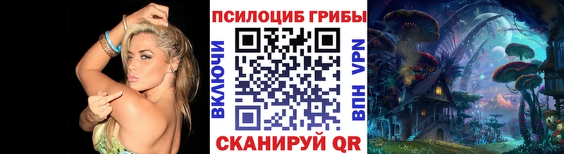 Купить закладки Краснозаводск Псилоцибиновые грибы Psilocybe