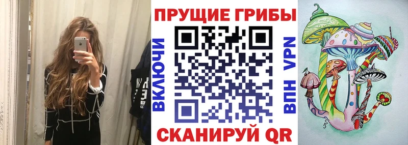Галлюциногенные грибы GOLDEN TEACHER Краснозаводск